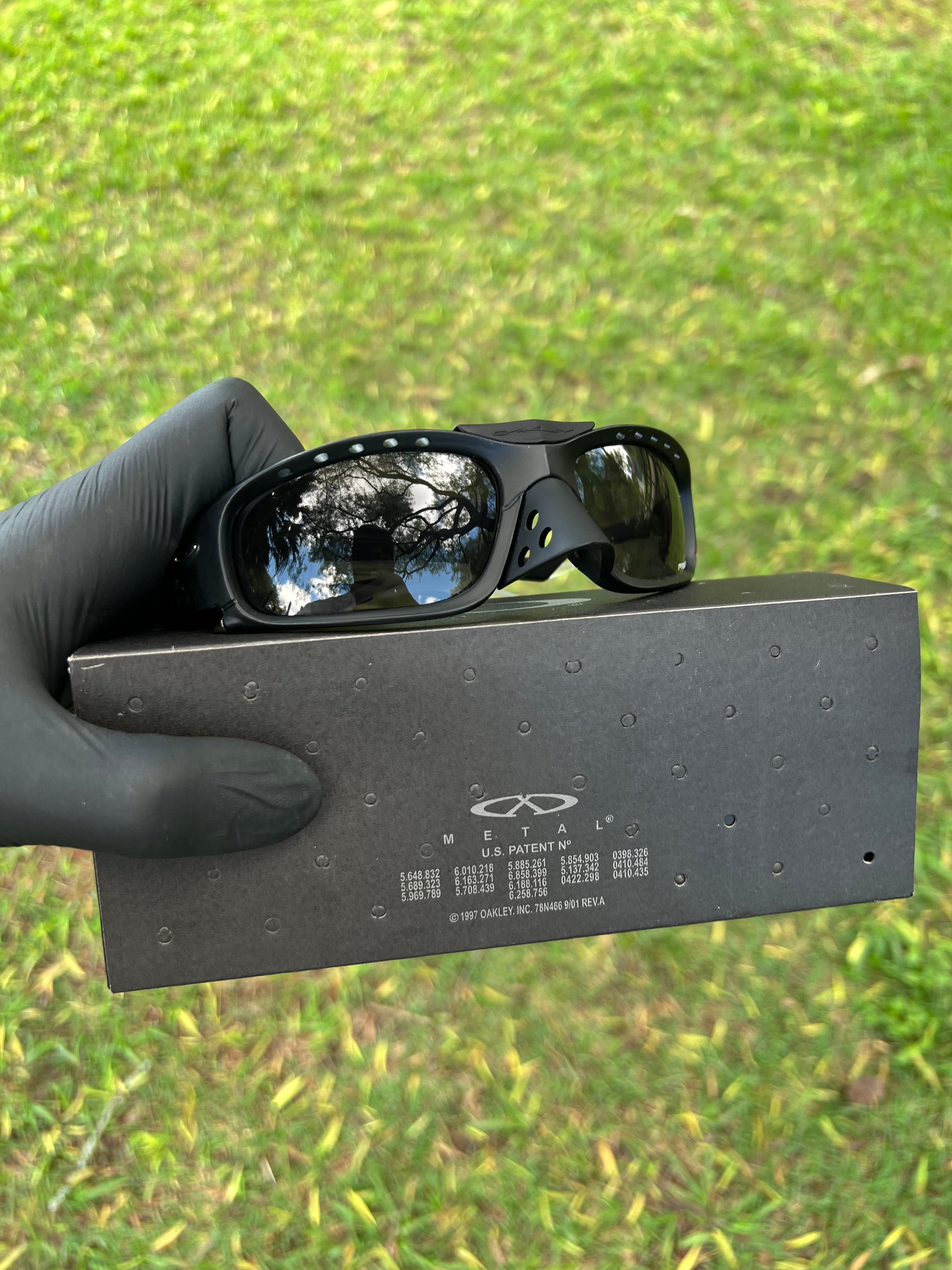Plantaris SQ All Black (haste transparente) (un)